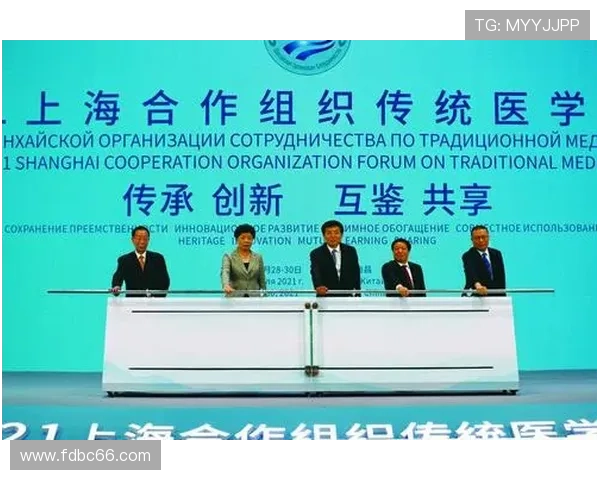 上海排球队的蜕变与重生：从传统强队到现代竞技的转型之路