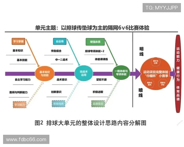 武汉排球队在冠军赛中的实力展现与未来发展潜力分析