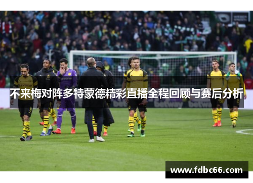 不来梅对阵多特蒙德精彩直播全程回顾与赛后分析